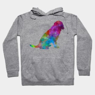 German Spaniel in watercolor Hoodie